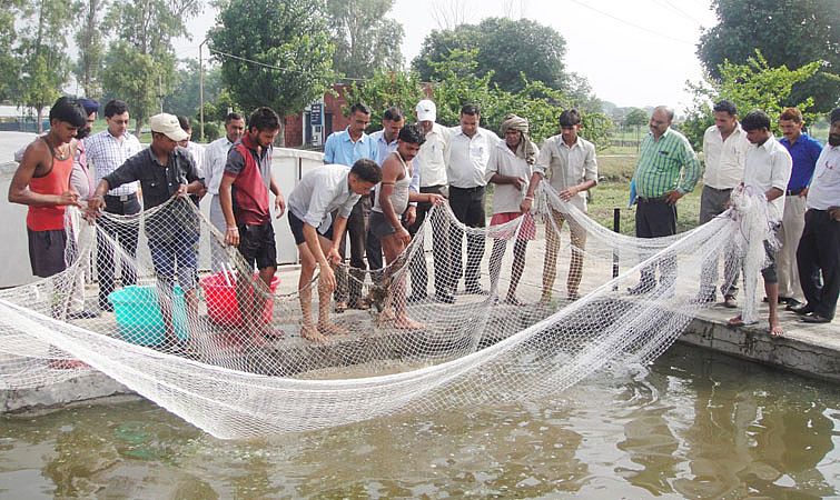 Training on fish breeding and seed production star