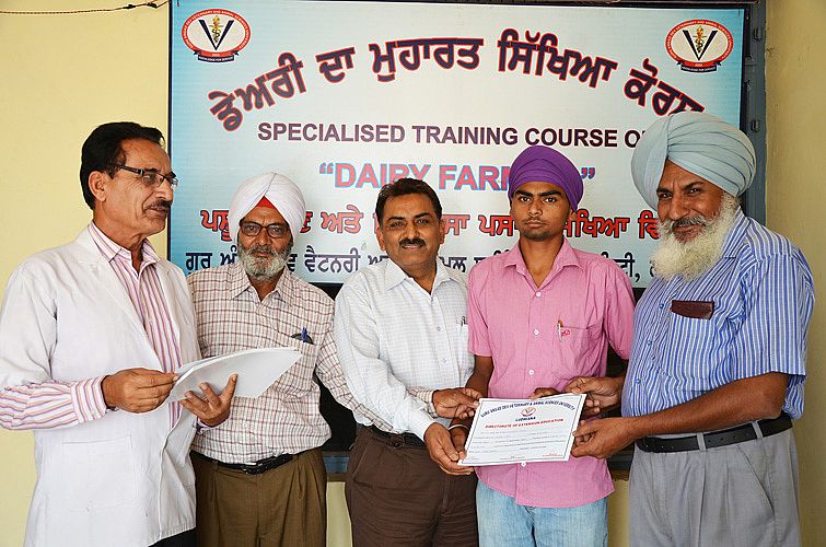 Training on Dairy Farming