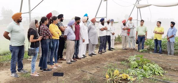 KVK, Mohali organizes One week vocational training on Horticulture