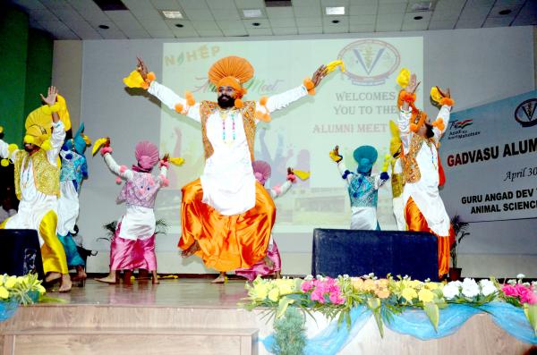 Student perform Bhangra during GADVASU-Alumni meet 2022