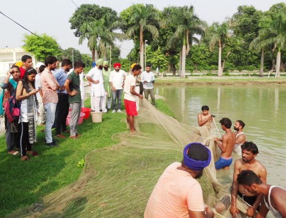 Aspiring Candidates Acquire Fish Farming Skills at Vet Varsity