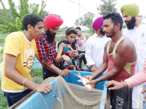 Aspiring Candidates Acquire Fish Farming Skills at Vet Varsity