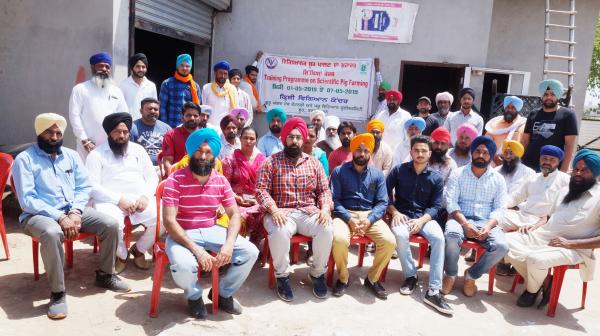 Krishi Vigyan Kendra, Tarn Taran Organizes Vocational Training Programme on Scientific Pig Farming