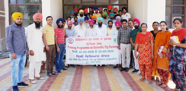 Krishi Vigyan Kendra, Tarn Taran Organizes Vocational Training Programme on Scientific Pig Farming