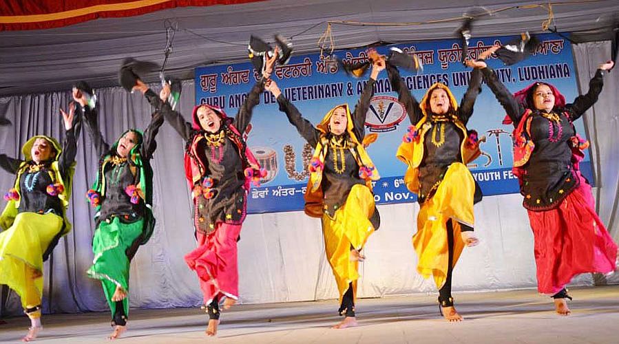 Bhangra perfomed by students in 6th Inter College 