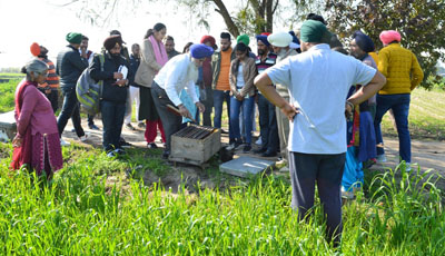 KVK, S.A.S Nagar onducts vocational training course on Beekeeping on 06-02-2020