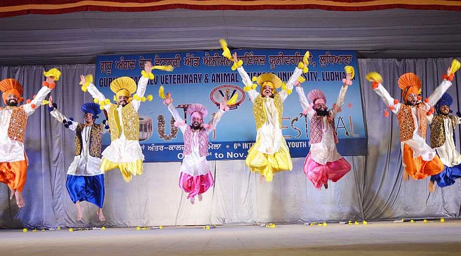 Bhangra perfomed by students in 6th Inter College 