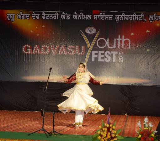 Dance performance by a student in 10th Youth festival on 15-11-2019