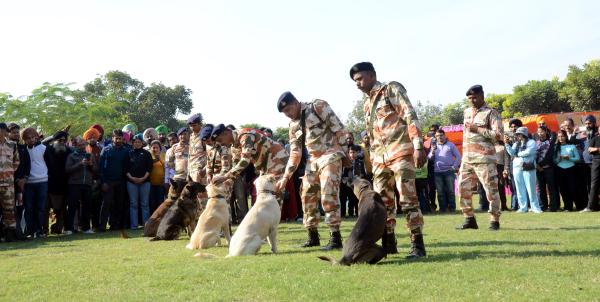 A special show of the Dog Squad of Indo-Tibetan Border Police was organized during the inaugural session