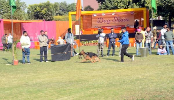 A special show of the Dog Squad of Indo-Tibetan Border Police was organized during the inaugural session