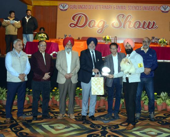 Dignitaries giving Awards to winners