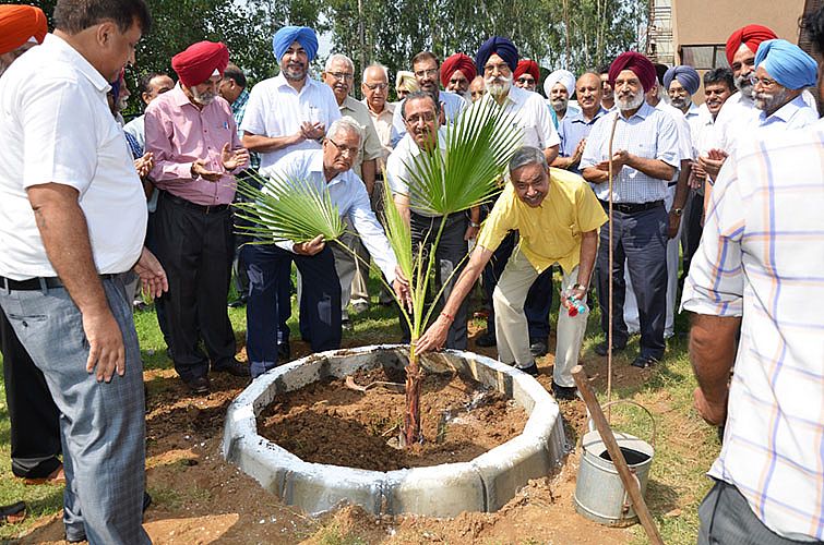 r. A.S Nanda, Vice-Chancellor, GADVASU and other faculty implanting the palm trees on occasion of Teachers Day