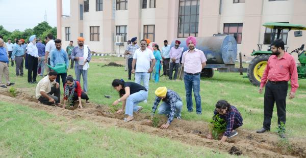 Vet Varsity staff and students dedicates Plantation Drive to Guru Nanak Sahib anniversary