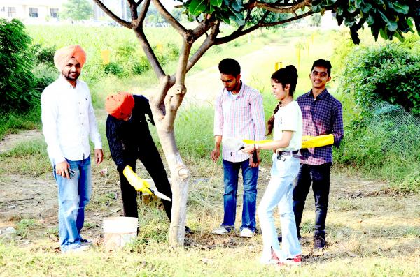 Vet Varsity NSS volunteers take initiatives under Clean India Programme in commemoration with Azadi ka Amrit Mahotsav