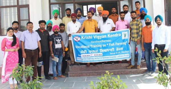 Krishi Vigyan Kendra, Barnala organized vocational training on Fish Farming