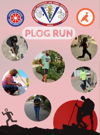 NSS organizes plog run in Punjab