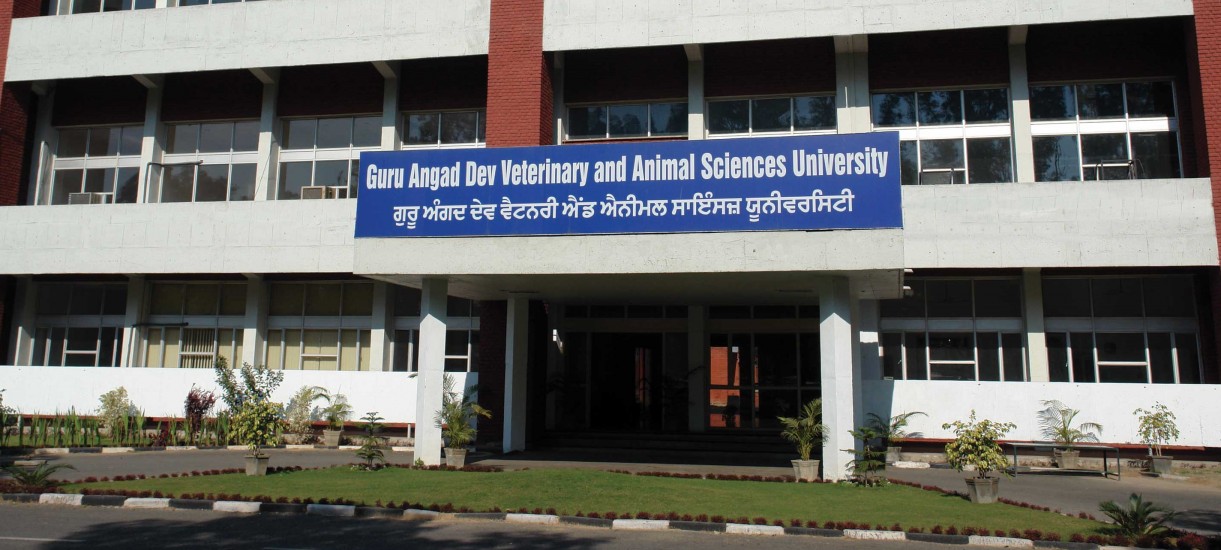 GADVASU - Guru Angad Dev Veterinary And Animal Sciences University